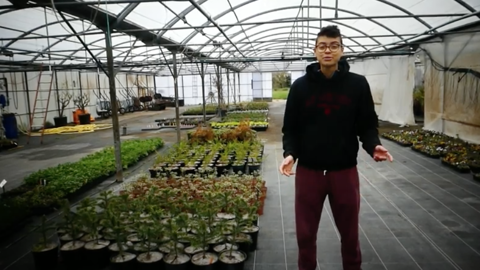 8 adultes en BP REA au CNPH-Piverdière ont eu la responsabilité de mettre en culture des tomates...